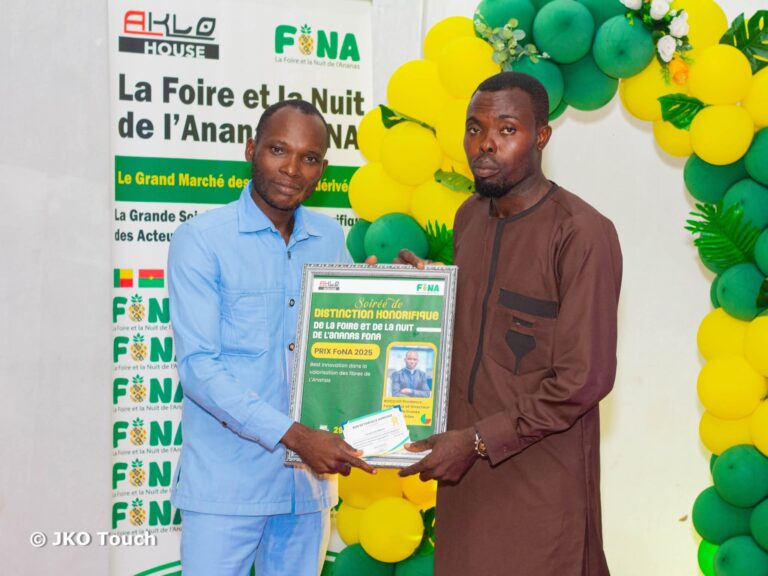 Lauréat du Prix FONA 2025 « Meilleure Innovation dans la Valorisation des Feuilles d’ananas » Foire et Nuit de l&rsquo;Ananas , Allada, Bénin