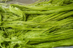 1Photo production (4)