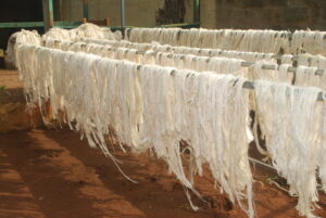 Photo production (2)