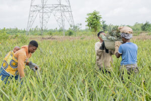 Photo production (4) (1)